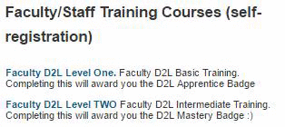 faculty-d2l-level-two